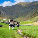 Pranter Stadl Hütte