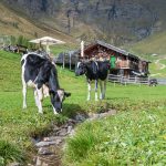 Pranter Stadl Hütte