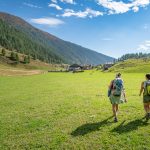 wandern Alm Altfasstal
