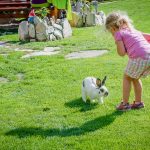 Anna und Hase