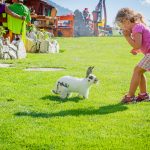 Anna und Hase