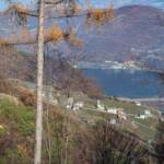 Blick auf Söll und den Kalterer See im Herbst