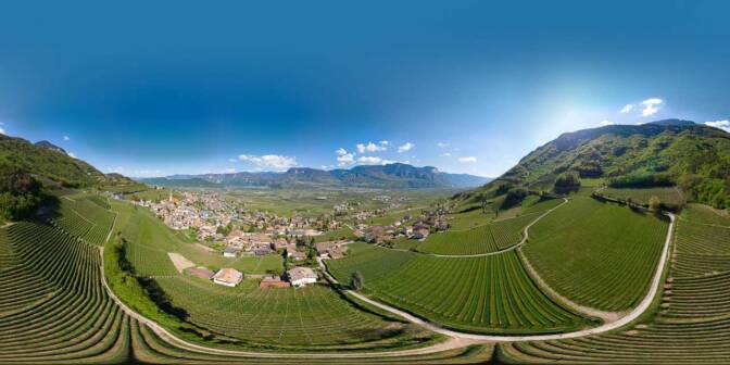 Blick auf die "Leitn" von Tramin. Mit "Leitn" werden in Tramin steile Weinberge bezeichnet.