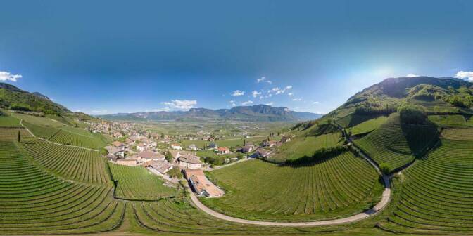 Blick auf den Gewürztraminer Weinweg rund um "Viertelgraun"