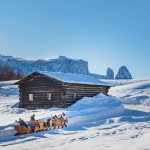 Kutsche, Pferdekutsche, Schlern, Schnee, Seiser Alm, Winter