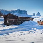 Kutsche, Pferdekutsche, Schlern, Schnee, Seiser Alm, Winter
