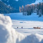 Kutsche, Pferdekutsche, Schnee, Seiser Alm, Winter