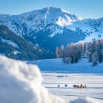 Kutsche, Pferdekutsche, Schnee, Seiser Alm, Winter