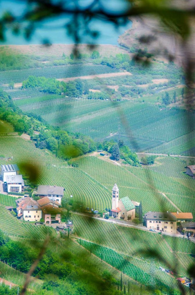 Die Traminer Fraktion Söll und den Kalterer See können wir an einer Stelle mit etwas weniger dichten Waldbewuchs erblicken.