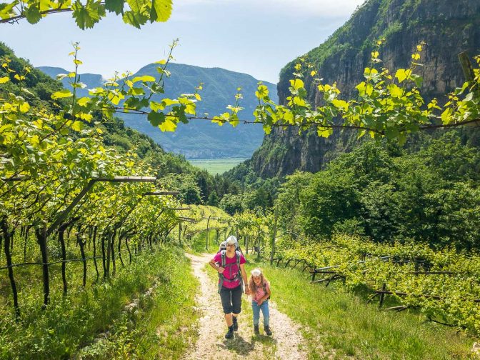 Von Eichholz durch Weinberge hinauf in das Höllental