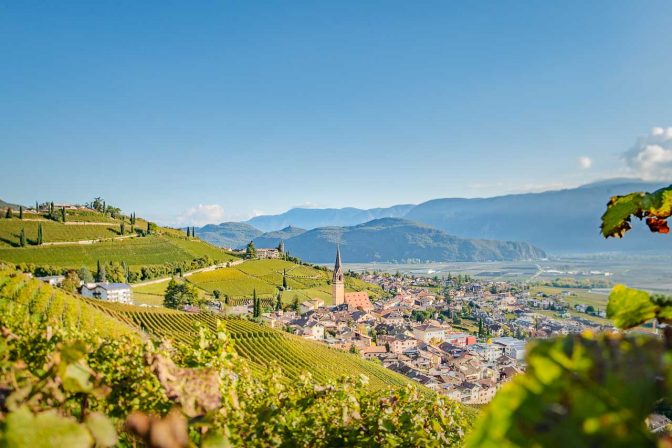 Blick auf Tramin