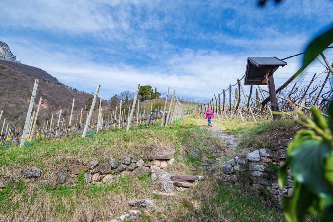 Der steile Kirchensteig führt, vorbei an einem Herrgott, hinauf auf die Schneckenthalerstraße