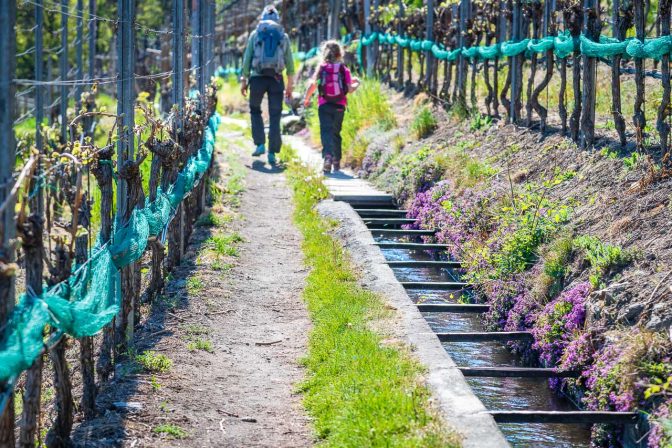 Latschanderwaal, Waalweg