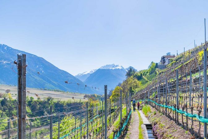 Latschanderwaal, Waalweg