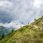 Alpenrosen, Schlinigtal, wandern