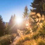 Sonne, wandern