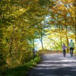 Herbst, autumn, autunno, passeggiare, spazieren, spazieren gehen, wandern