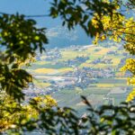 Andrian, Herbst, autumn, autunno