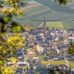 Herbst, Terlan, autumn, autunno