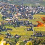 Herbst, Terlan, autumn, autunno