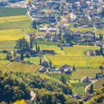 Herbst, Terlan, autumn, autunno