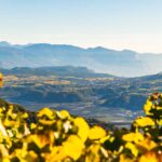 Appiano, Eppan, Eppan an der Weinstraße, Etschtal, Herbst, S. Michele, St. Michael, autumn, autunno, Überetsch