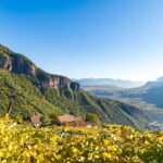 Appiano, Eppan, Eppan an der Weinstraße, Etschtal, Herbst, Oberlegar, S. Michele, St. Michael, autumn, autunno, Überetsch