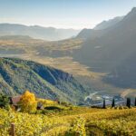 Herbst, Terlan, Weinberge, autumn, autunno