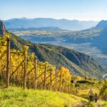 Herbst, Leitn, Weinberge, autumn, autunno, passeggiare, spazieren, spazieren gehen, wandern