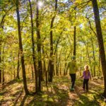 Herbst, Wald, autumn, autunno
