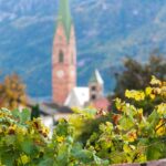Herbst, Pfarrkirche Terlan, Terlan, autumn, autunno