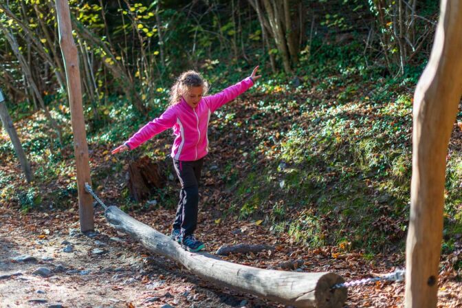 Ein Themenweg für kleine "Eichhörnchen"