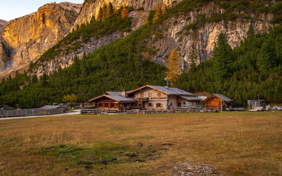 20251011183818-DSC_1424-Scotonihuette