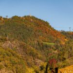 Herbst, Oberbozen, Weinwanderweg, Weinwanderweg Rebe, autumn, autunno