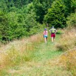 Wanderweg, sentiero, wandern