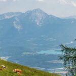 Faaker See