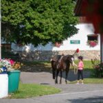 Rutarhof, reiten
