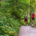 Seerundweg Lago di Tovel, wandern