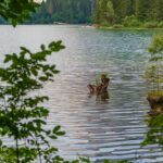 Lago di Tovel, Tovelsee, Val di Tovel
