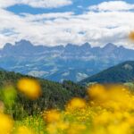Catinaccio, Rosengarten, Rosengartengruppe