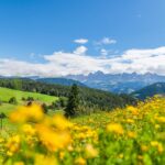 Catinaccio, Deutschnofen, Rosengarten, Rosengartengruppe