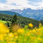 Catinaccio, Rosengarten, Rosengartengruppe