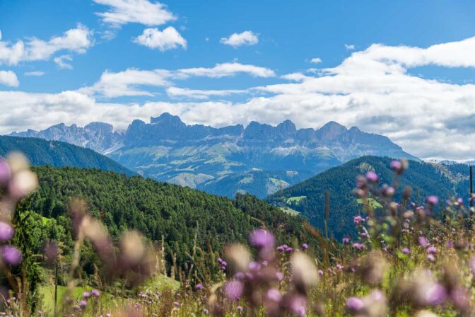 Blick auf die Rosengartengruppe