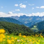 Catinaccio, Deutschnofen, Rosengarten, Rosengartengruppe, gelbe Wiese