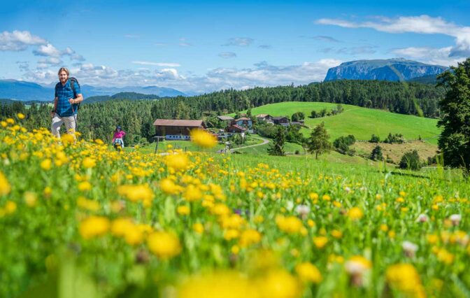 Auch andere Wanderer genießen das Plattnerviertel mit seinem herrlichen Dolomitenhintergrund.