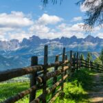 Catinaccio, Rosengarten, Rosengartengruppe, Zaun