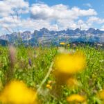 Catinaccio, Rosengarten, Rosengartengruppe