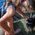 Rutarhof: Hase