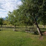 Rutarhof: Streufeldobstwiese