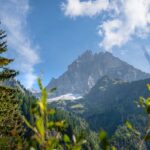 Pflerscher Tribulaun, Tribulaun
